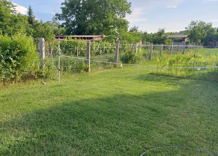 Lotusz Vendeghaz-demjen Daire